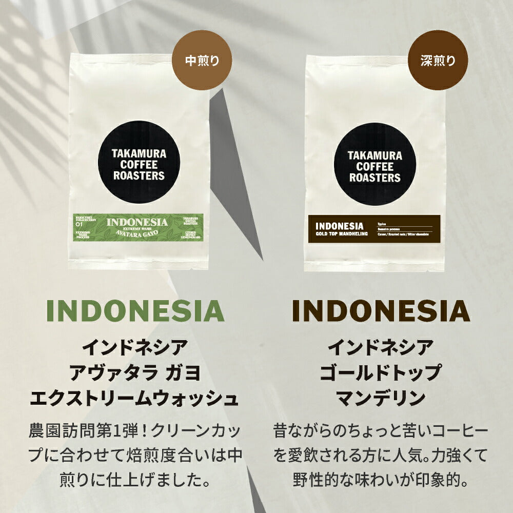 ● メール便送料無料 コーヒー豆 250g×2種入 インドネシア産地を楽しむ♪ 飲み比べ アソート コーヒー セット ( インドネシア アヴァタラ・ガヨ ／ ゴールデントップ・マンデリン ) 珈琲 メール便 送料無料 [C]TCR ※同梱不可