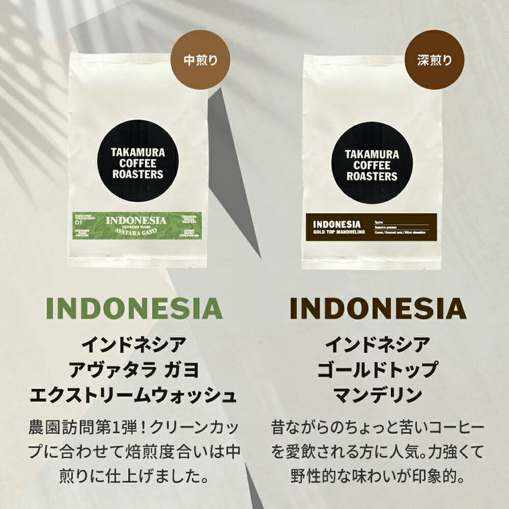 ● メール便送料無料 コーヒー豆 250g×2種入 インドネシア産地を楽しむ♪ 飲み比べ アソート コーヒー セット ( インドネシア アヴァタラ・ガヨ ／ ゴールデントップ・マンデリン ) 珈琲 メール便 送料無料 [C]TCR ※同梱不可