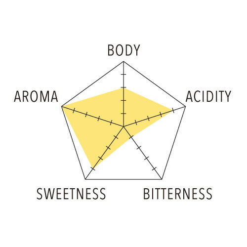 【メール便送料無料】ドリップバッグ 15個入り 浅煎り エチオピア イルガチェフェ Ｇ1 ETHIOPIA Yirgacheffe ( コーヒー )※同梱不可