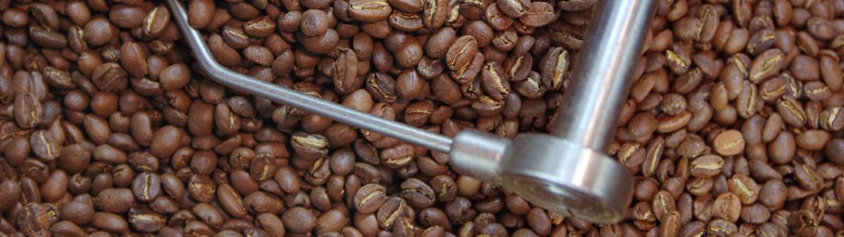 焙煎したコーヒー豆