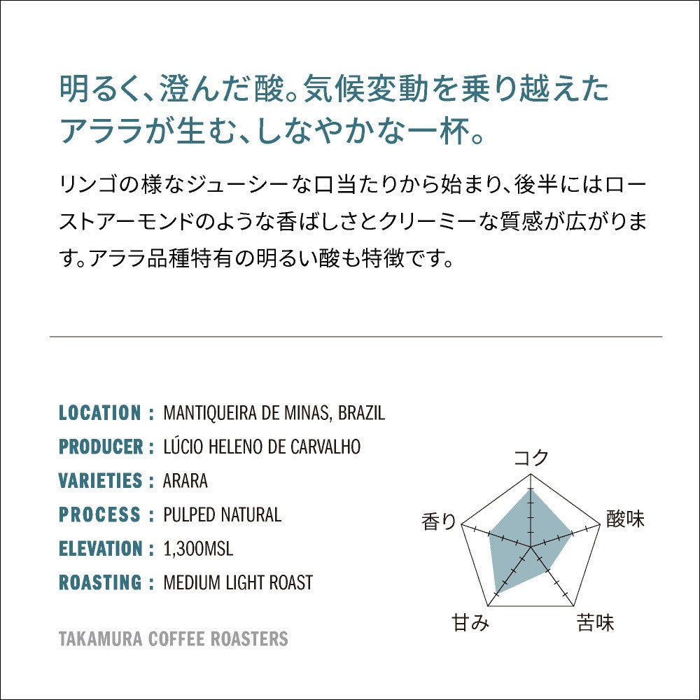 ● 送料無料 コーヒー豆 スペシャルティコーヒー 中浅煎り ブラジル ベネディト アララ Brazil Benedito Arara 250g / 500g / 1kg 豆のまま 3種から選べる コーヒー 珈琲 スペシャリティコーヒー [C] TCR