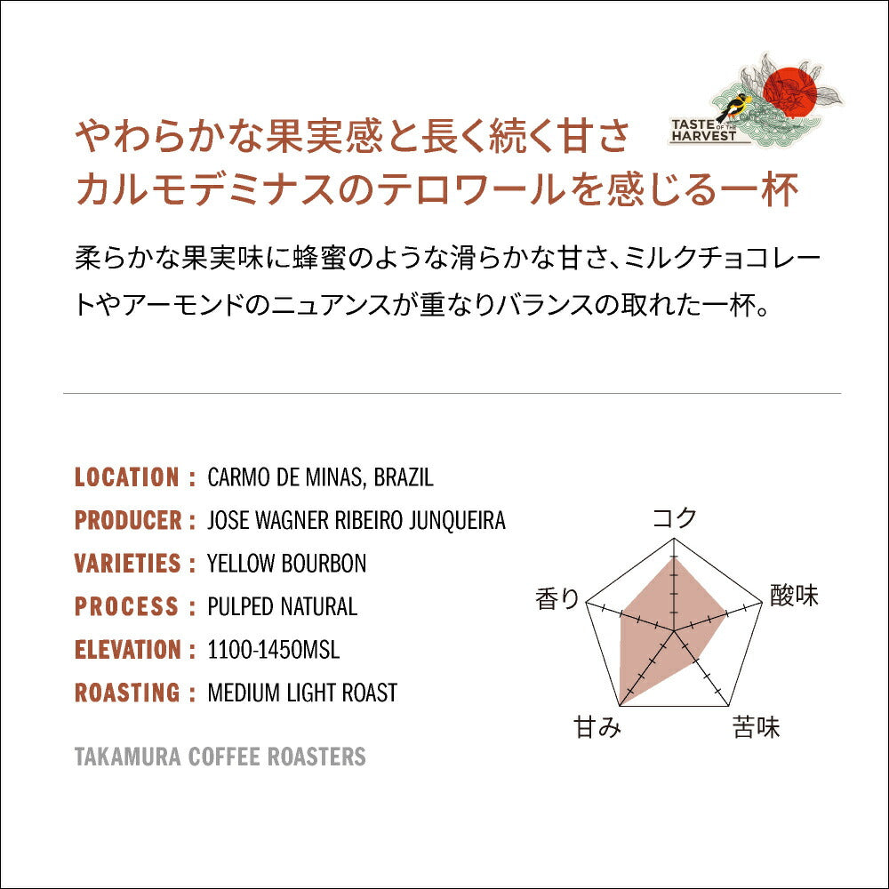 ● 送料無料 コーヒー豆 スペシャルティコーヒー 中浅煎り テイスト・オブ・ハーベスト トレス バハス TOH