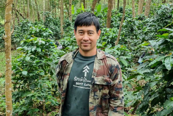 ● 【送料無料】 タイ ソフト コーヒー COE 2025 #14th Thailand SOFT coffee Catuai Natural ( コーヒー ) ※同梱不可 生産地レポート 途中画像