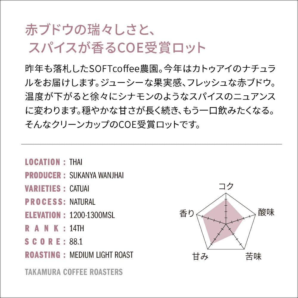 ● 【送料無料】 タイ ソフト コーヒー COE 2025 