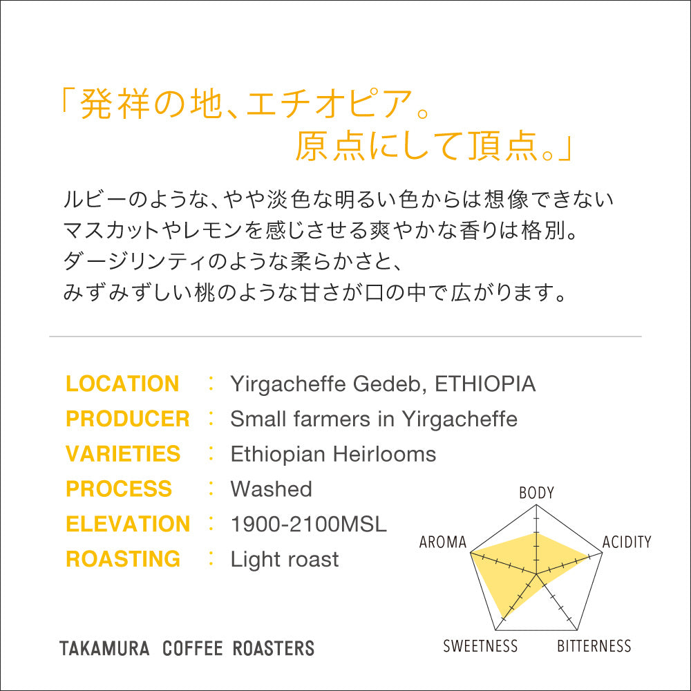 【送料無料】 エチオピア イルガチェフェ ゲデブ グレード1（ETHIOPIA Yirgacheffe Gedeb Grade1） ( コーヒー ) ※同梱不可